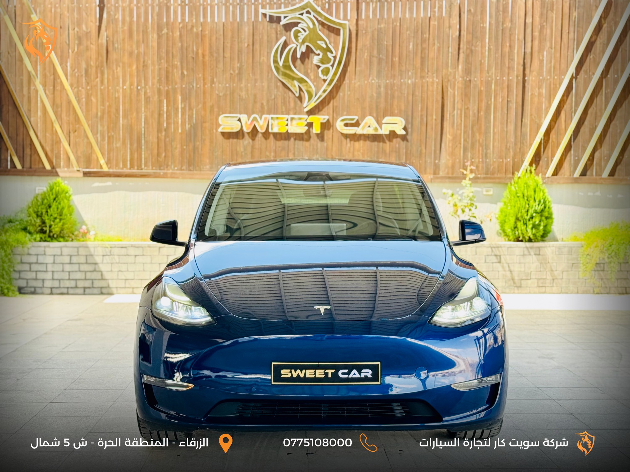 تيسلا MODEL Y performance